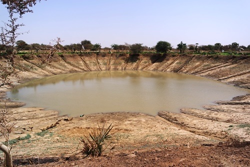 Production maraichère au Sahel : Le bouli de Djomga piégé par le sable